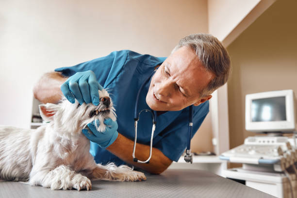 Best Emergency Tooth Extraction in Wayland, IA